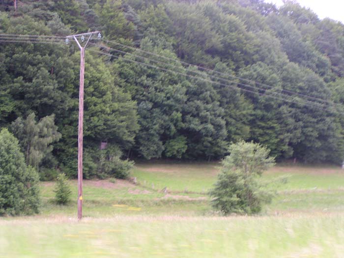 P7060154
